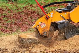 Best Lawn Watering Services  in Sacramento, CA