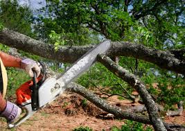 Best Weed Control  in Sacramento, CA