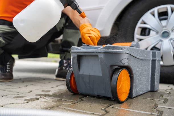 Best Lawn Disease Treatment  in Sacramento, CA